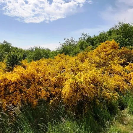 Patchwork アパート *